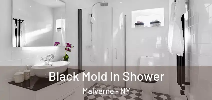 Black Mold In Shower Malverne - NY