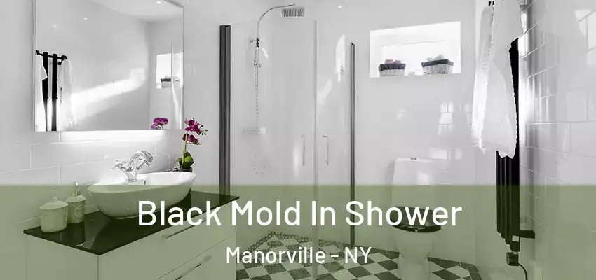 Black Mold In Shower Manorville - NY