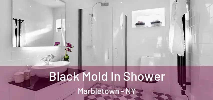 Black Mold In Shower Marbletown - NY
