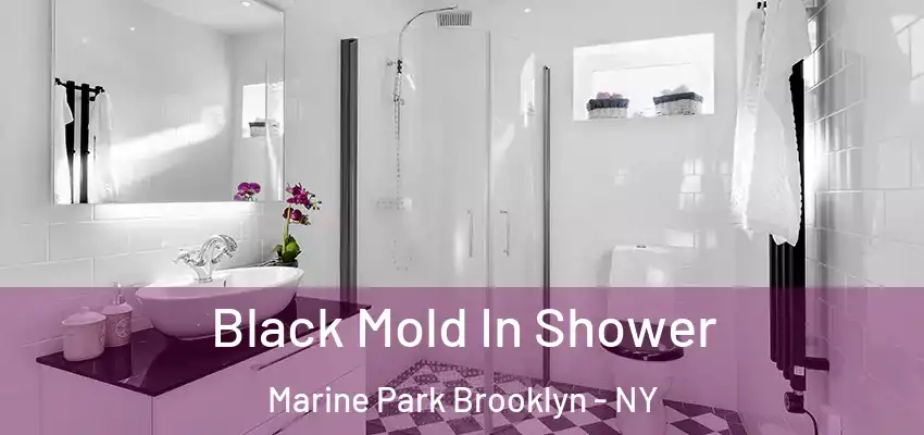 Black Mold In Shower Marine Park Brooklyn - NY