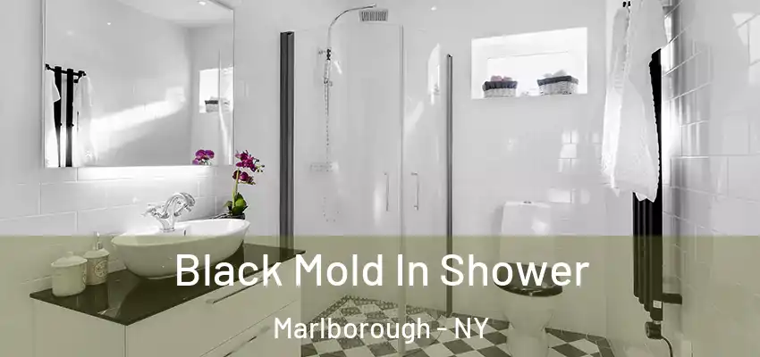  Black Mold In Shower Marlborough - NY