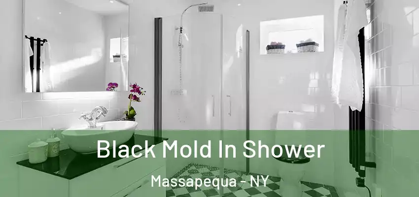  Black Mold In Shower Massapequa - NY