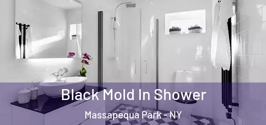  Black Mold In Shower Massapequa Park - NY