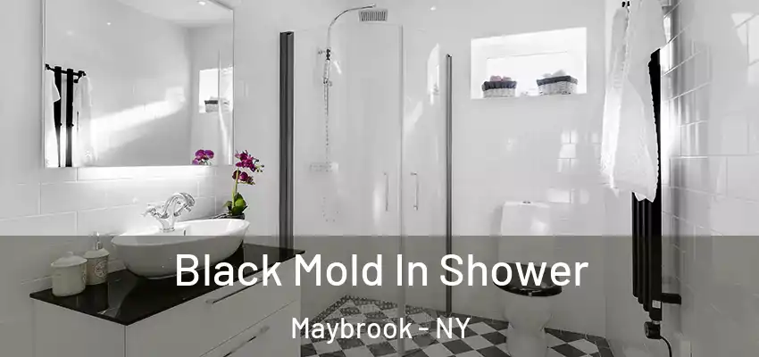  Black Mold In Shower Maybrook - NY