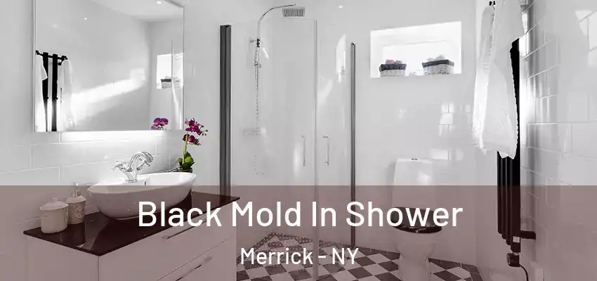  Black Mold In Shower Merrick - NY