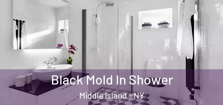 Black Mold In Shower Middle Island - NY