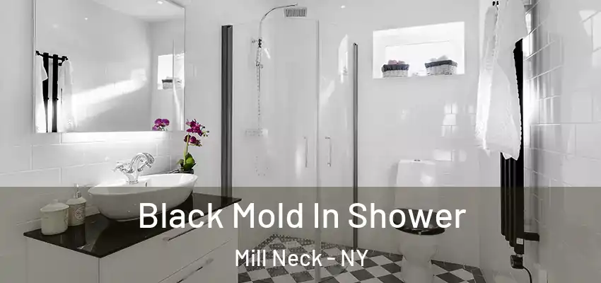 Black Mold In Shower Mill Neck - NY