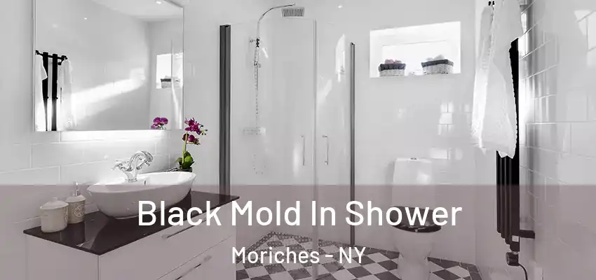 Black Mold In Shower Moriches - NY
