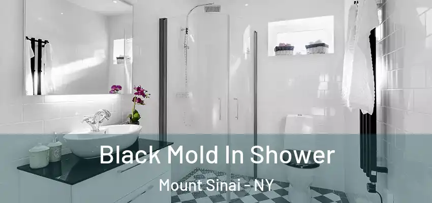  Black Mold In Shower Mount Sinai - NY