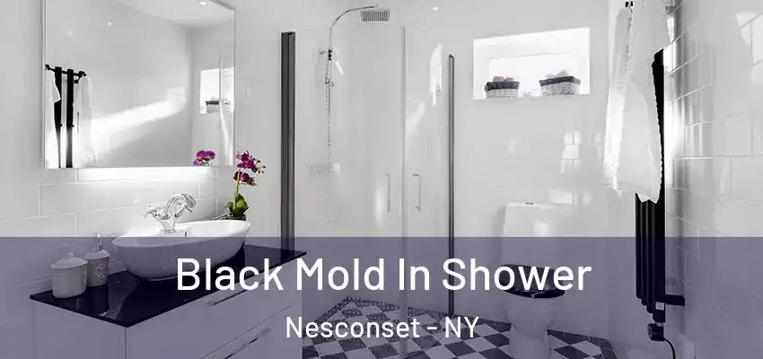 Black Mold In Shower Nesconset - NY