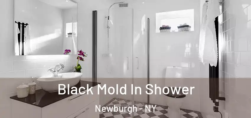  Black Mold In Shower Newburgh - NY