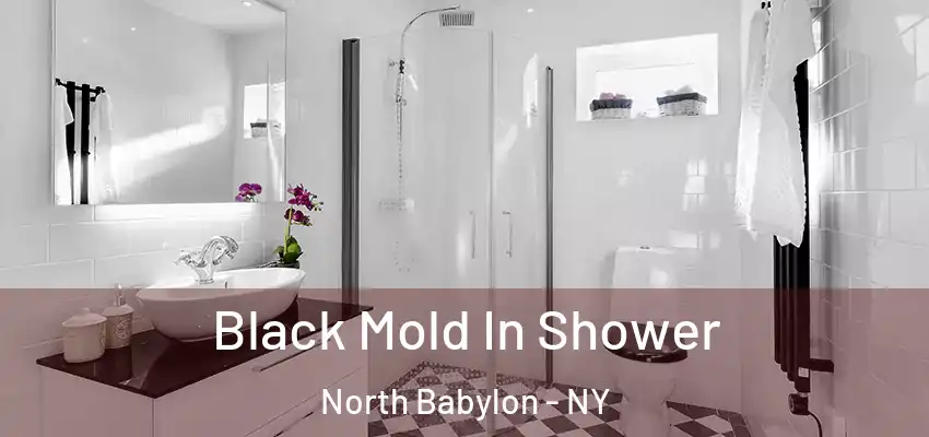  Black Mold In Shower North Babylon - NY
