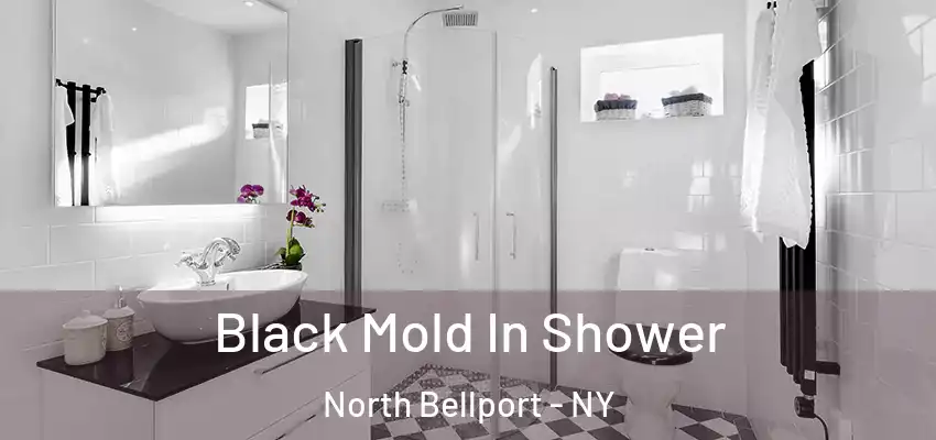 Black Mold In Shower North Bellport - NY