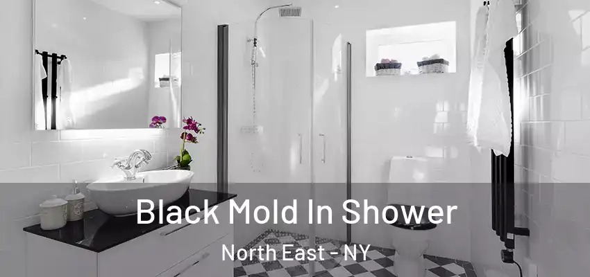 Black Mold In Shower North East - NY