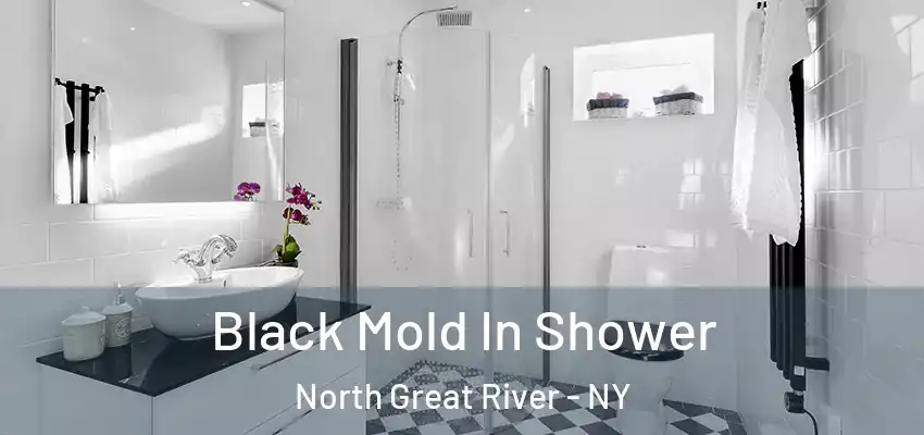 Black Mold In Shower North Great River - NY