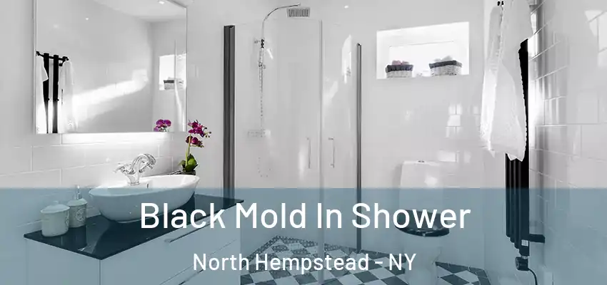  Black Mold In Shower North Hempstead - NY