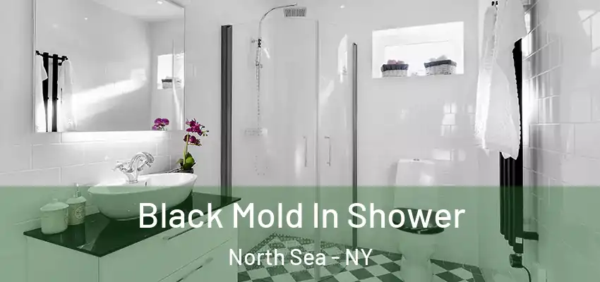 Black Mold In Shower North Sea - NY