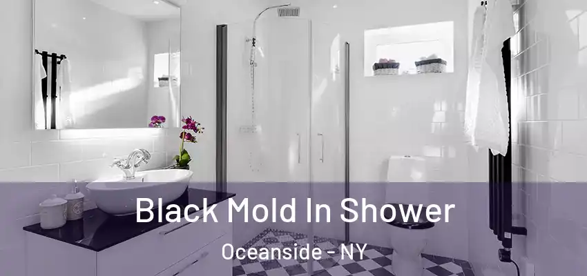 Black Mold In Shower Oceanside - NY