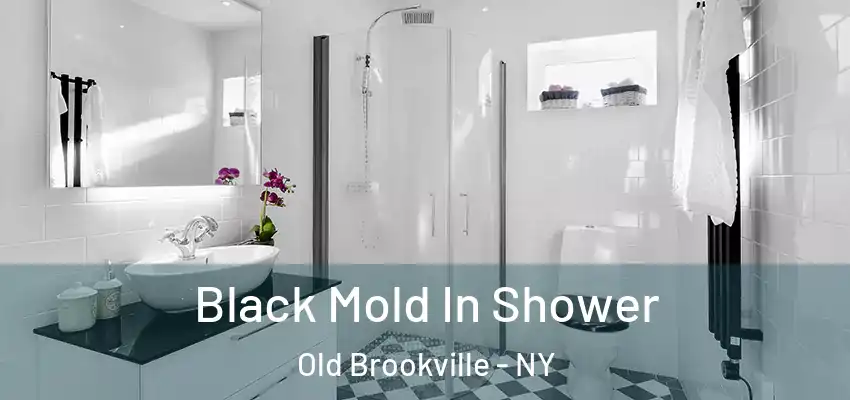  Black Mold In Shower Old Brookville - NY