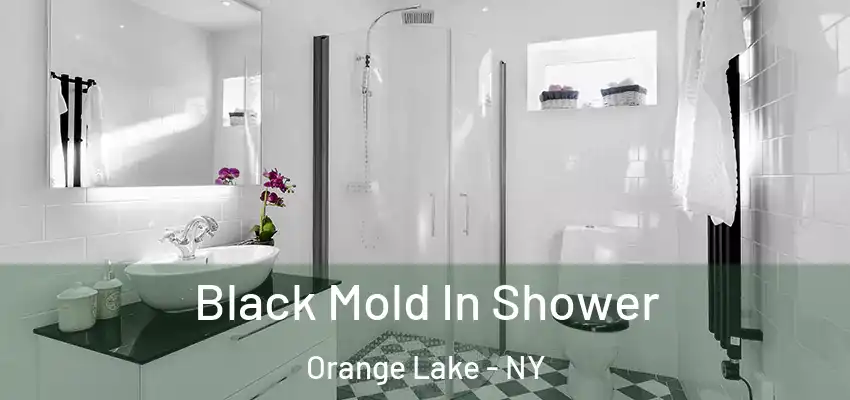  Black Mold In Shower Orange Lake - NY