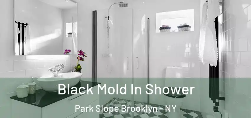 Black Mold In Shower Park Slope Brooklyn - NY
