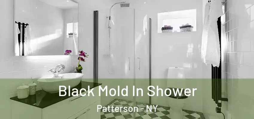 Black Mold In Shower Patterson - NY