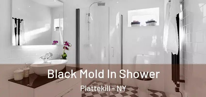 Black Mold In Shower Plattekill - NY