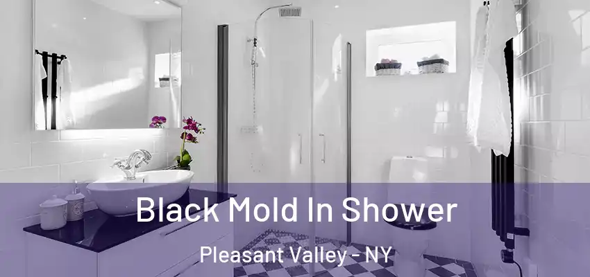  Black Mold In Shower Pleasant Valley - NY