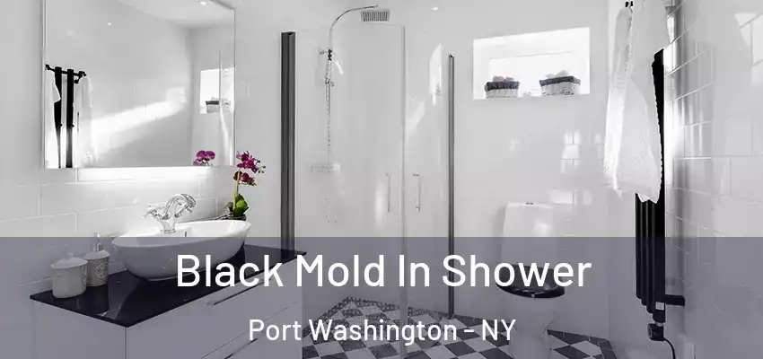 Black Mold In Shower Port Washington - NY