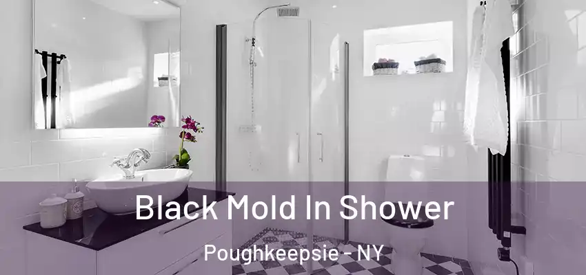 Black Mold In Shower Poughkeepsie - NY