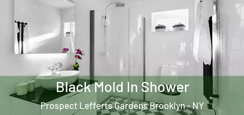 Black Mold In Shower Prospect Lefferts Gardens Brooklyn - NY