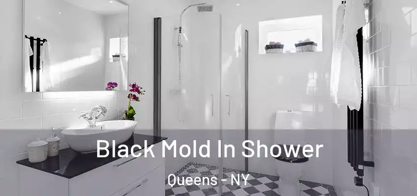  Black Mold In Shower Queens - NY