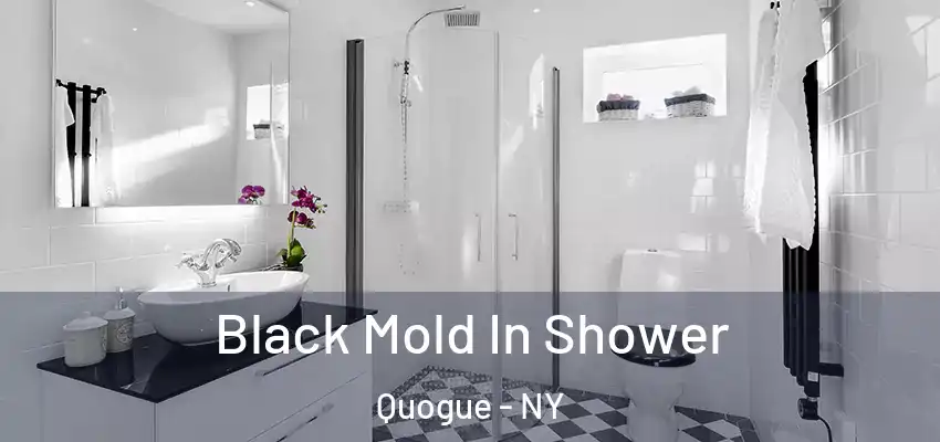  Black Mold In Shower Quogue - NY