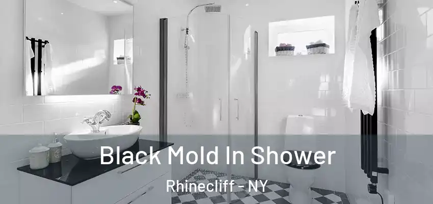  Black Mold In Shower Rhinecliff - NY