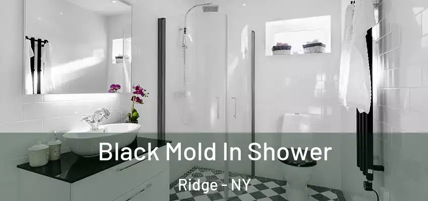Black Mold In Shower Ridge - NY