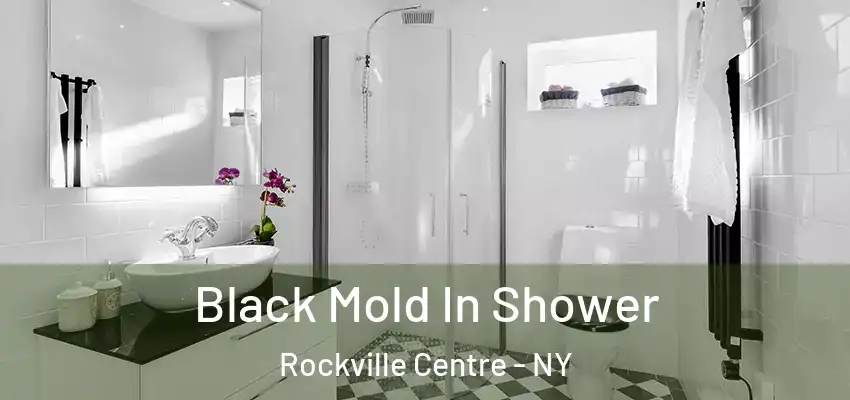 Black Mold In Shower Rockville Centre - NY