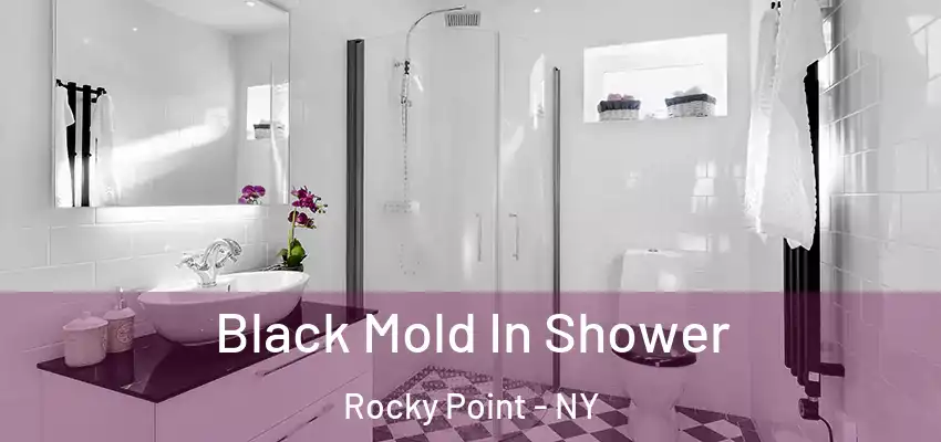  Black Mold In Shower Rocky Point - NY