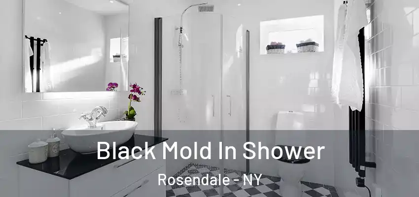  Black Mold In Shower Rosendale - NY