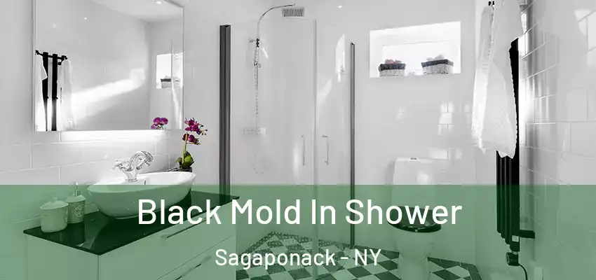 Black Mold In Shower Sagaponack - NY