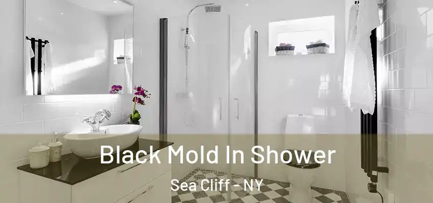  Black Mold In Shower Sea Cliff - NY