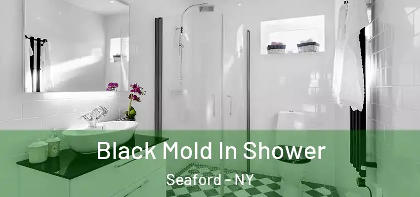  Black Mold In Shower Seaford - NY