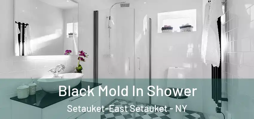 Black Mold In Shower Setauket-East Setauket - NY