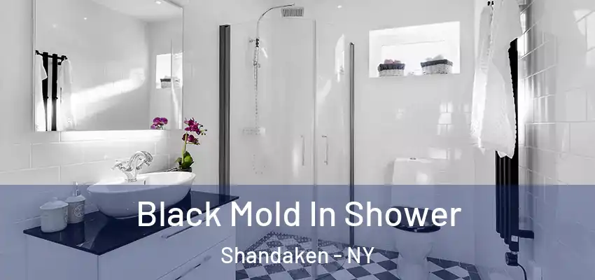 Black Mold In Shower Shandaken - NY