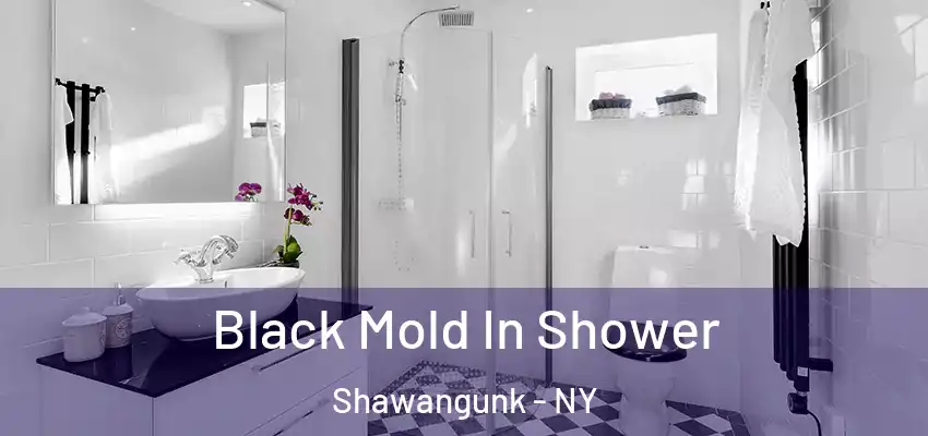  Black Mold In Shower Shawangunk - NY