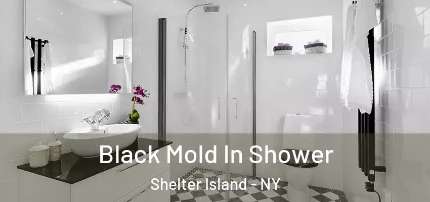 Black Mold In Shower Shelter Island - NY