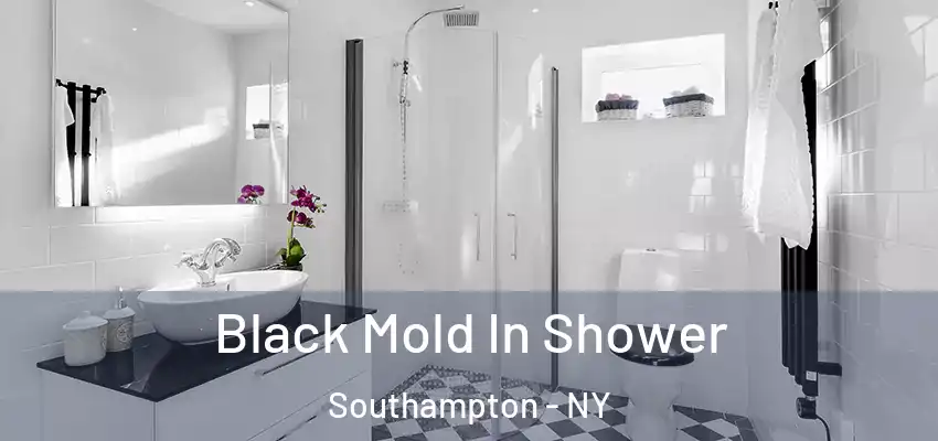 Black Mold In Shower Southampton - NY