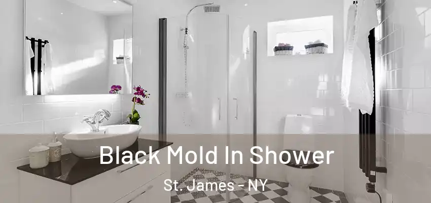 Black Mold In Shower St. James - NY