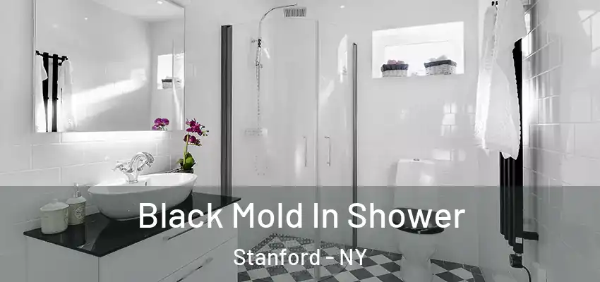  Black Mold In Shower Stanford - NY