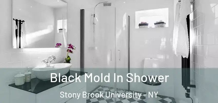  Black Mold In Shower Stony Brook University - NY