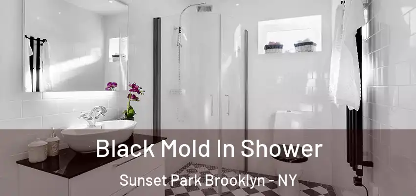  Black Mold In Shower Sunset Park Brooklyn - NY